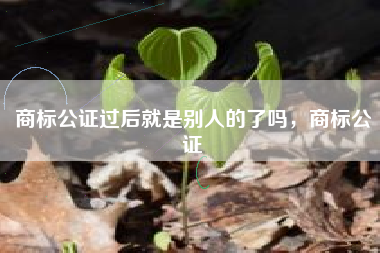商标公证过后就是别人的了吗，商标公证