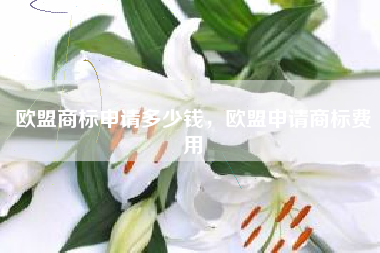 欧盟商标申请多少钱，欧盟申请商标费用