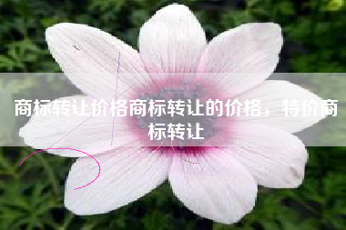 商标转让价格商标转让的价格，特价商标转让