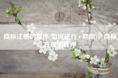 商标注册的程序(如何进行+期限)，商标注册的程序