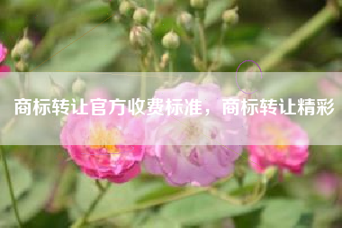 商标转让官方收费标准，商标转让精彩