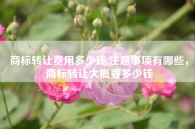 商标转让费用多少钱,注意事项有哪些，商标转让大概要多少钱