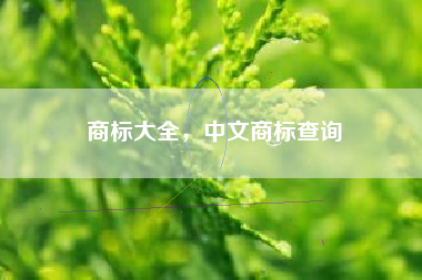 商标大全，中文商标查询