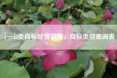 1一45类商标经营范围，商标类别查询表