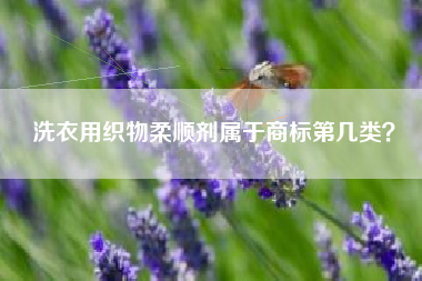 洗衣用织物柔顺剂属于商标第几类？