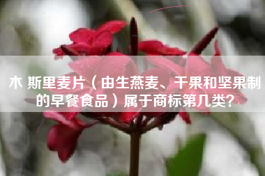 木 斯里麦片（由生燕麦、干果和坚果制的早餐食品）属于商标第几类？