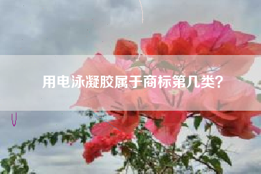 用电泳凝胶属于商标第几类？