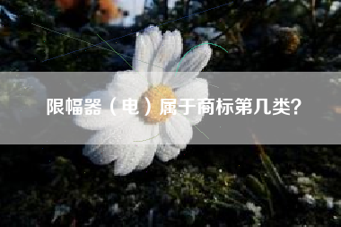 限幅器（电）属于商标第几类？