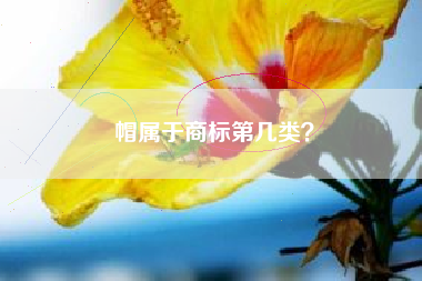 帽属于商标第几类? 帽属于商标第几类?