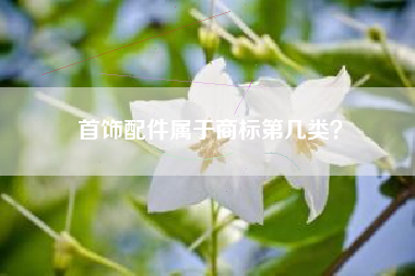 首饰配件属于商标第几类？
