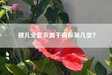 婴儿全套衣属于商标第几类？