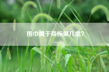 围巾属于商标第几类？