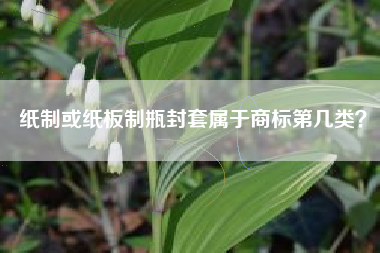 纸制或纸板制瓶封套属于商标第几类？