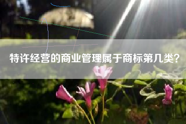 特许经营的商业管理属于商标第几类？