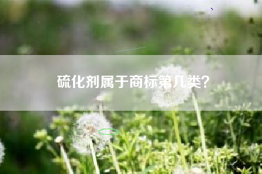 硫化剂属于商标第几类？