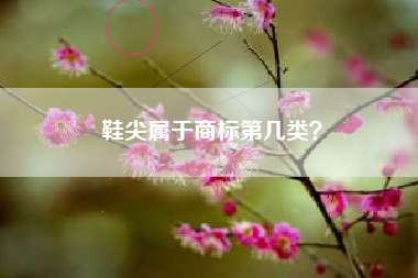 鞋尖属于商标第几类？