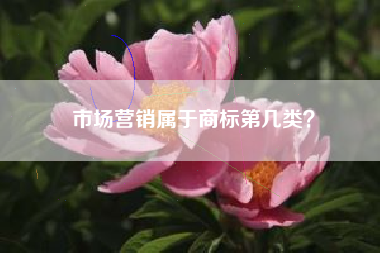 市场营销属于商标第几类？