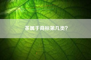茶属于商标第几类？