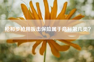 枪和步枪用扳击保险属于商标第几类？