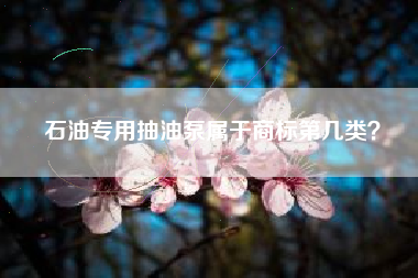 石油专用抽油泵属于商标第几类？