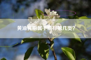 黄油乳脂属于商标第几类？