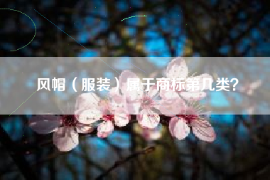 风帽（服装）属于商标第几类？
