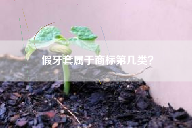 假牙套属于商标第几类？