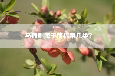 马桶刷属于商标第几类？