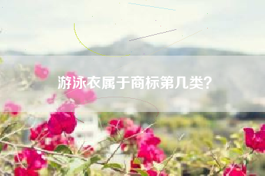 游泳衣属于商标第几类？