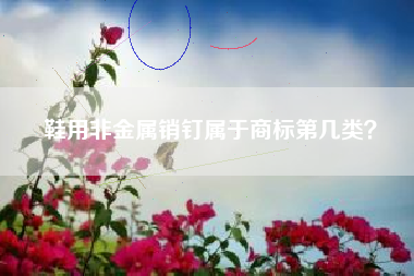 鞋用非金属销钉属于商标第几类？