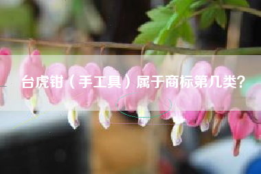 台虎钳（手工具）属于商标第几类？