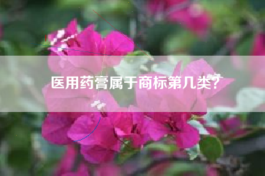 医用药膏属于商标第几类? 医用药膏属于商标第几类?