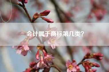 会计属于商标第几类？