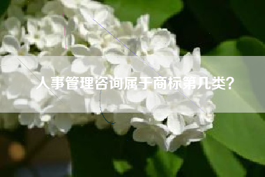 人事管理咨询属于商标第几类？