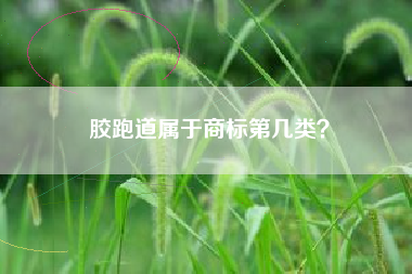 胶跑道属于商标第几类？