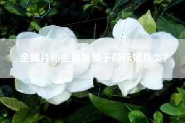 金属片和金属板属于商标第几类? 金属片和金属板属于商标第几类?