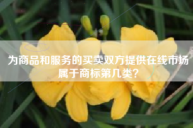 为商品和服务的买卖双方提供在线市场属于商标第几类？