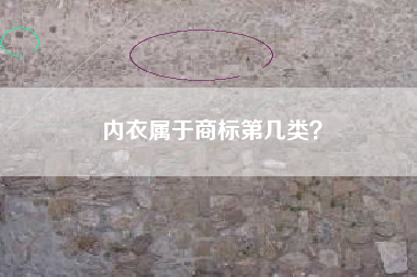 内衣属于商标第几类？