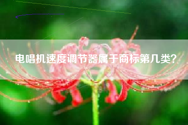 电唱机速度调节器属于商标第几类？
