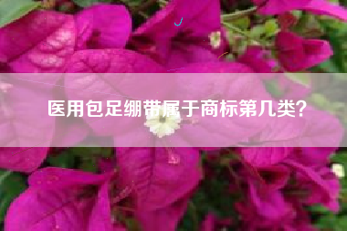 医用包足绷带属于商标第几类？