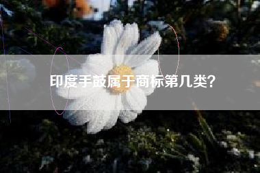 印度手鼓属于商标第几类？