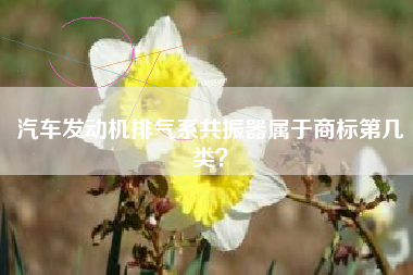 汽车发动机排气系共振器属于商标第几类？