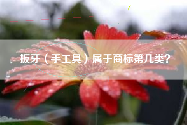 扳牙（手工具）属于商标第几类？