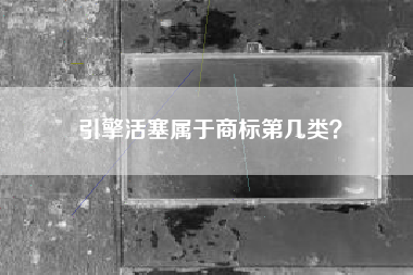 引擎活塞属于商标第几类？