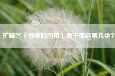 扩胸器（锻炼肌肉用）属于商标第几类？
