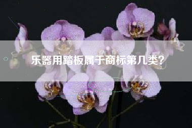 乐器用踏板属于商标第几类？