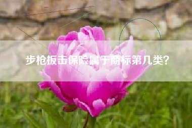步枪扳击保险属于商标第几类？