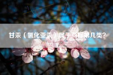 甘汞（氯化亚汞）属于商标第几类？