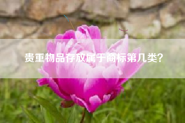 贵重物品存放属于商标第几类？