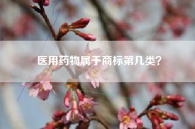 医用药物属于商标第几类? 医用药物属于商标第几类?